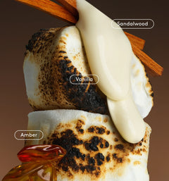 Daily Refresh Set A2